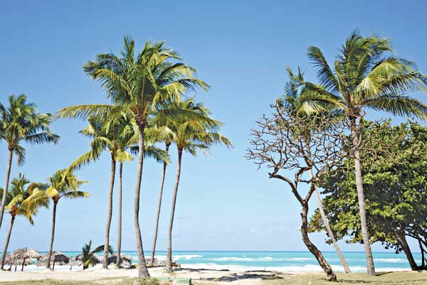 All Inclusive - Starfish St. Lucia